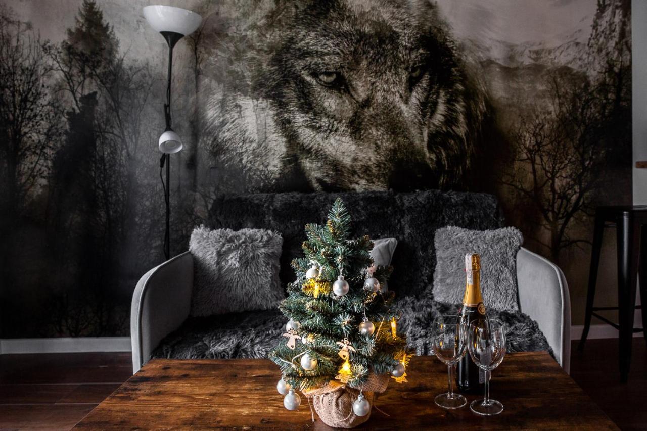 Apartament Wataha Ustrzyki Dolne Kültér fotó
